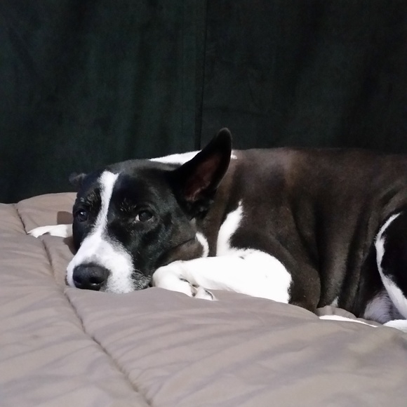 Meet your Posher, John - Picture 4 of 4